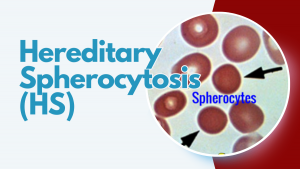 Hereditary Spherocytosis